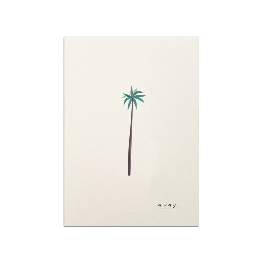 Palm Postcard