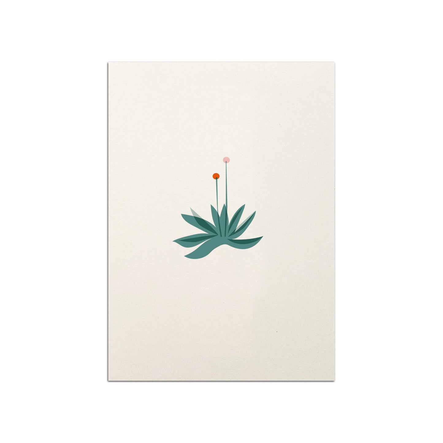 Torch Flower Postcard