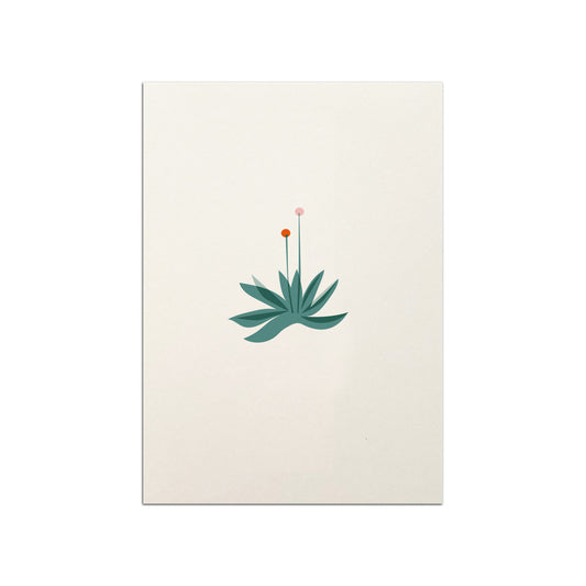 Torch Flower Postcard