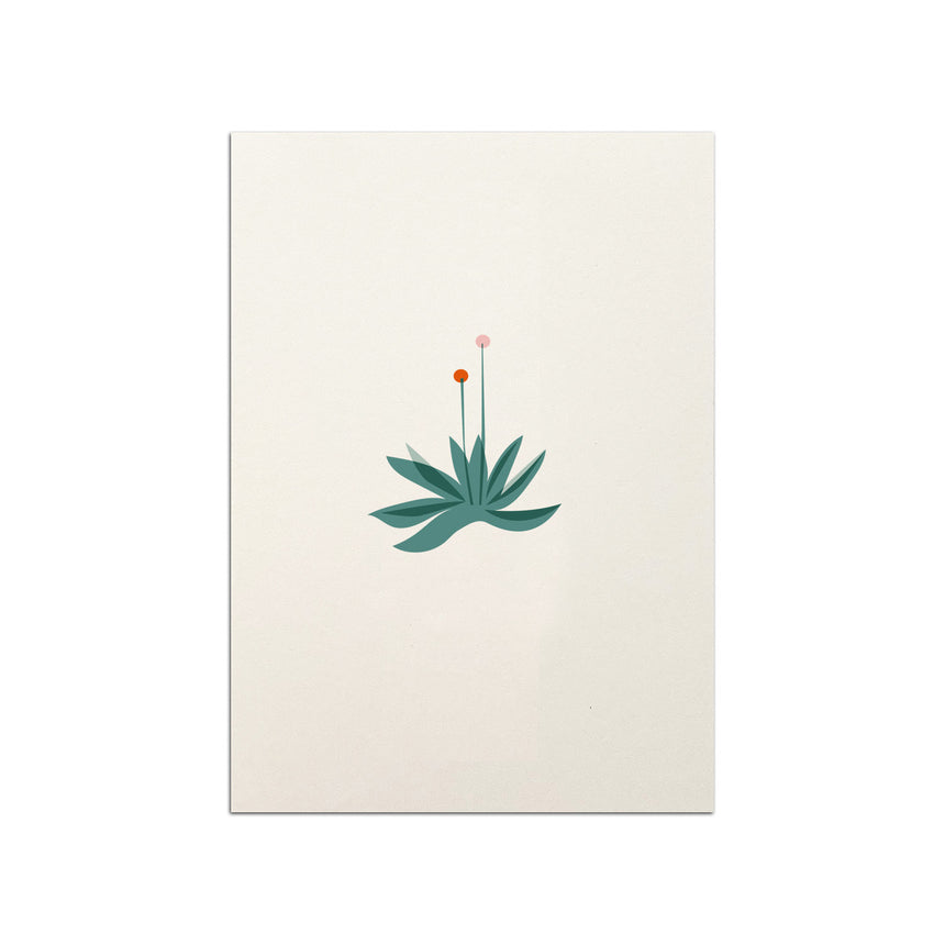 Torch Flower Postcard