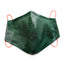 Tropical Leaves Maske