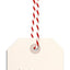 Ski gift tags