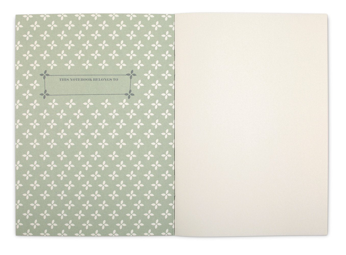 Flying birds notebook A6, blank