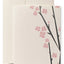 Cherry blossom greeting card