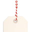 Cat on Ski gift tags