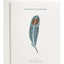 Peacock Feather greeting card